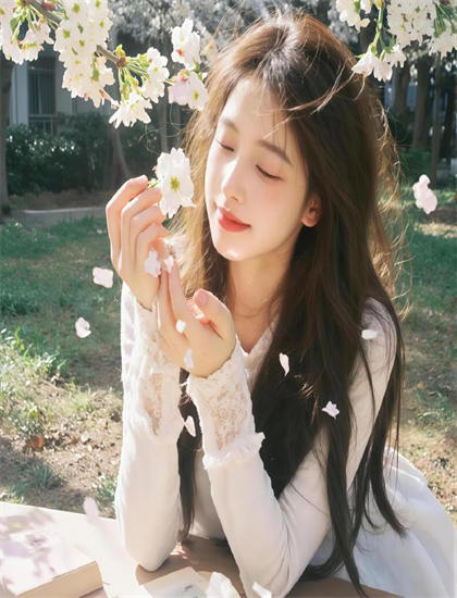 《吾妻盘儿花》市场表现：票房成绩与观众接受度分析